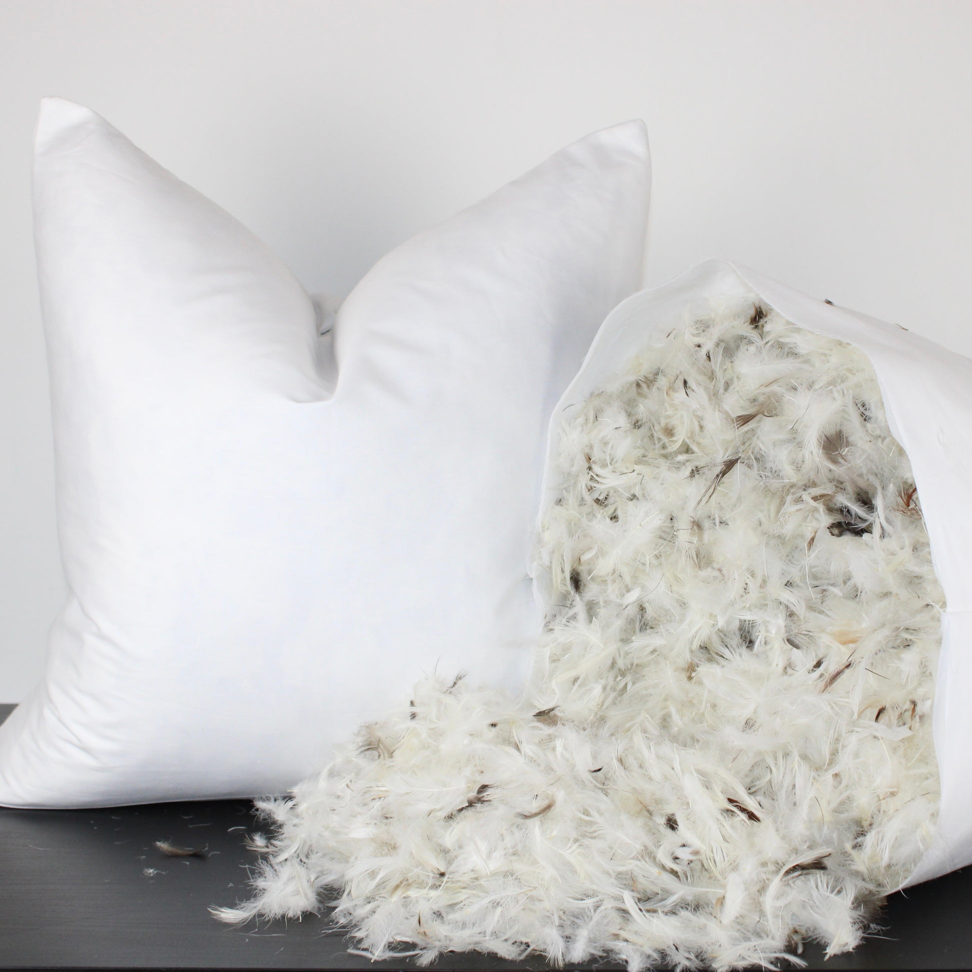 Down and Feather Pillow Inserts